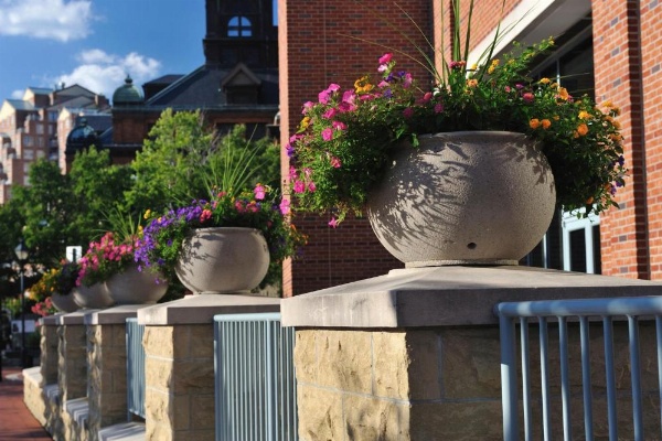 Baltimore Marriott Waterfront image 17